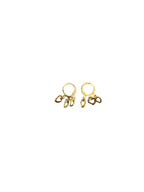 guaranteed earrings
