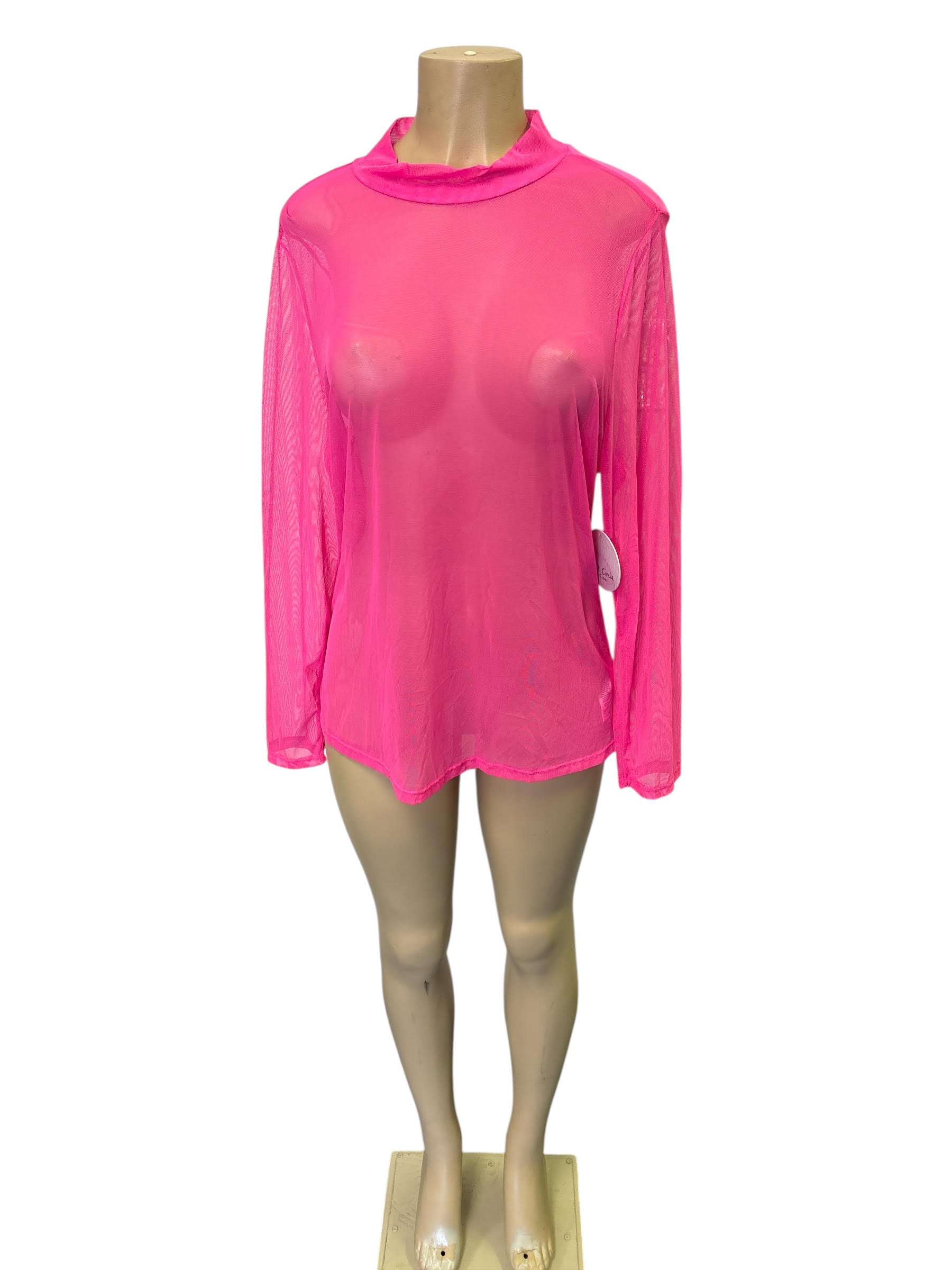 Pink Sheer Mesh Long-Sleeve Top